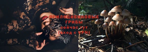мяу мяу мука Арсеньев